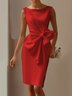 Urban Crew Neck Bow Plain Dress For Women